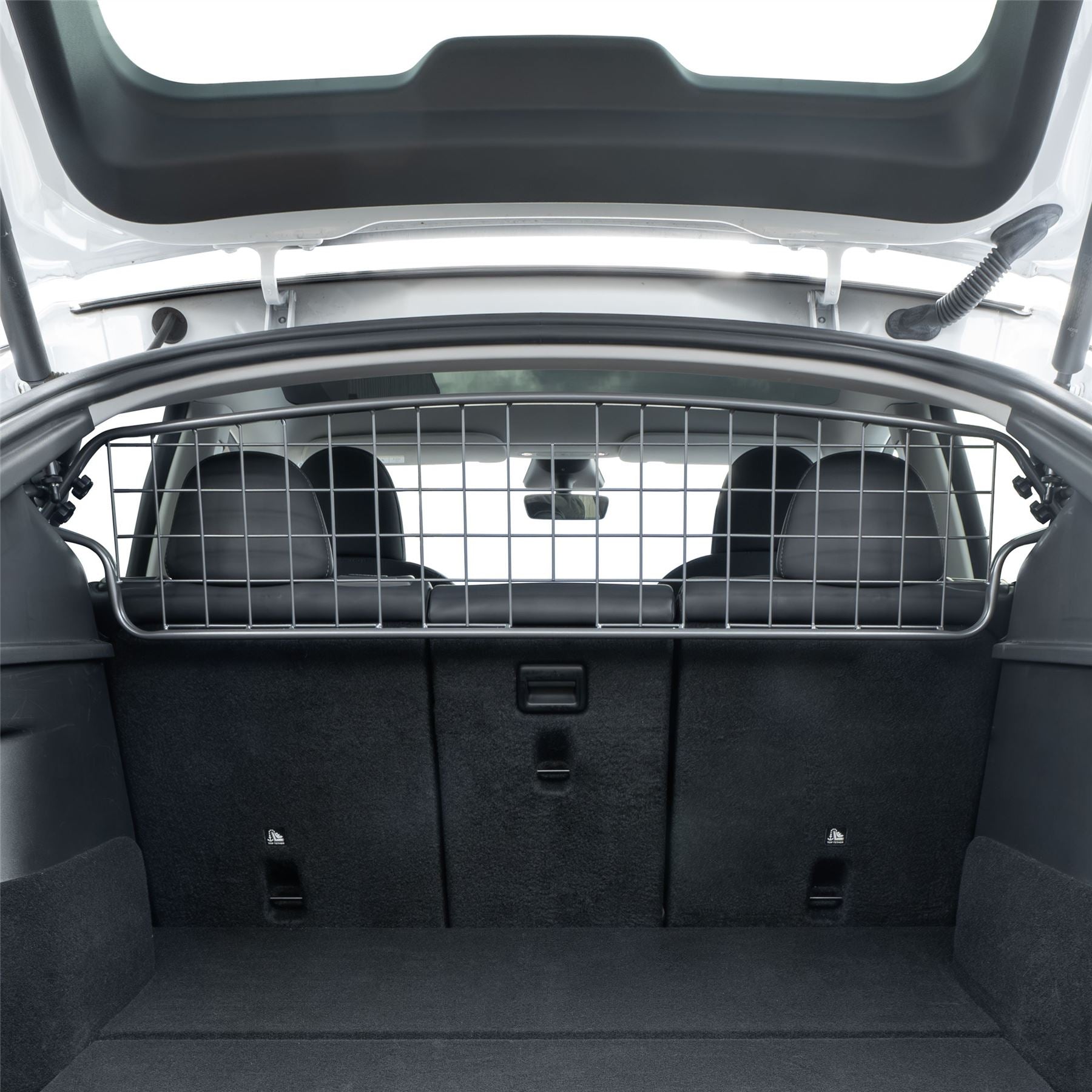 MODEL Y DOG GUARD visual data 4