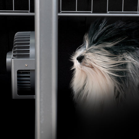Keep your dog cool with our new dog guard fan!