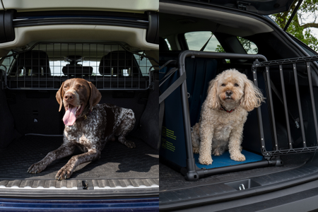 Dog guard or dog crate for the car: which is right for you and your dog?