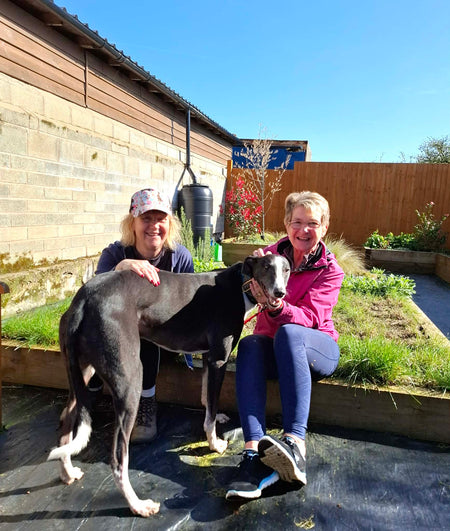 We're donating funds to Makants Greyhound Rescue N.W!