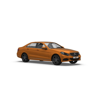 Mercedes E-Class Saloon (2013-2016) Dog Guards