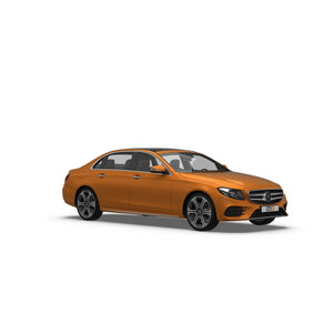 Mercedes E-Class Saloon (2016-2023) Dog Guards