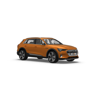 Audi e-tron SUV Coupe (2019-) Dog Guards