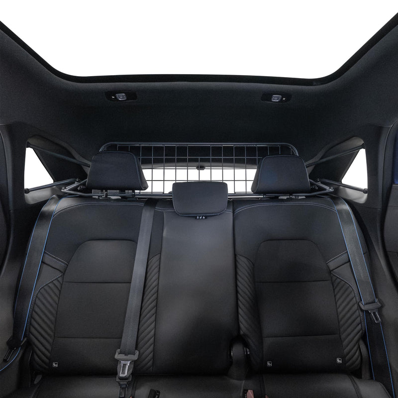 Renault Symbioz Dog Guard (2024-on)