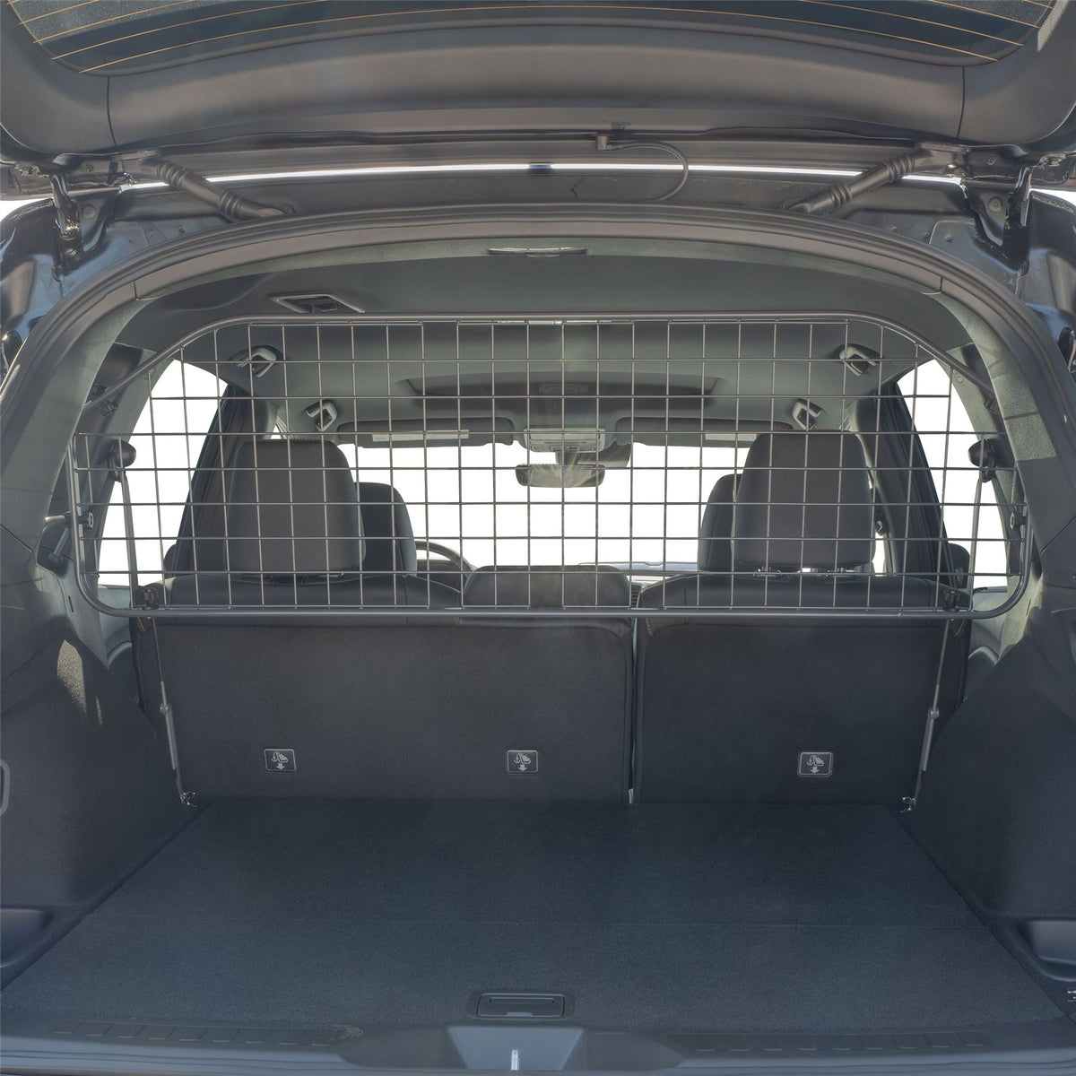 Honda Passport Dog Guard (2019-2025)