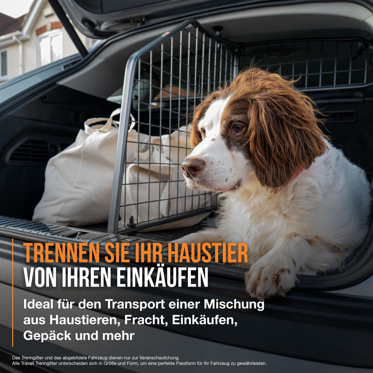 Skoda Octavia Estate Dog Guard and Divider Bundle (2012-2017)