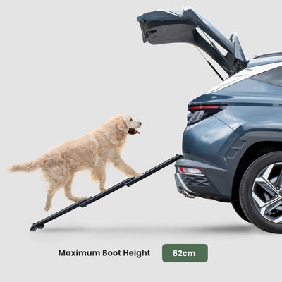 Dog Ramp