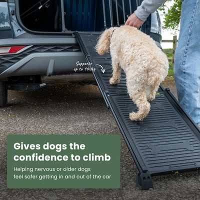 Dog Ramp