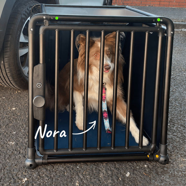 Nora