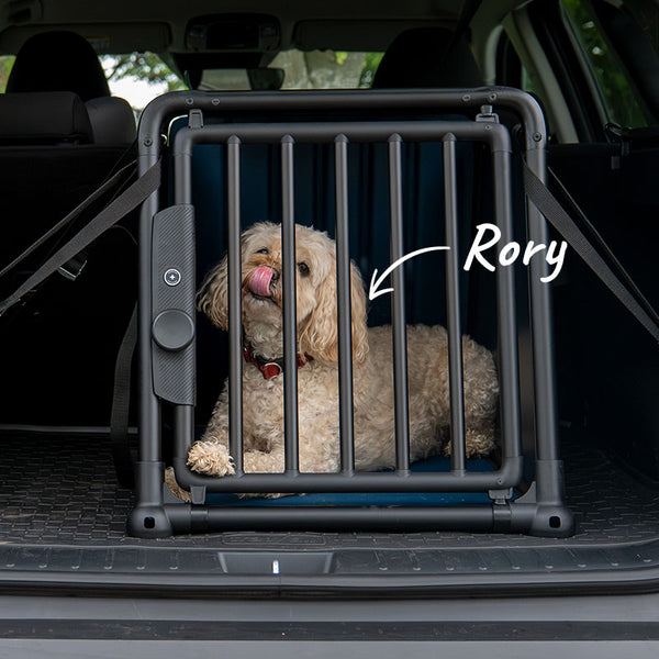 Rory