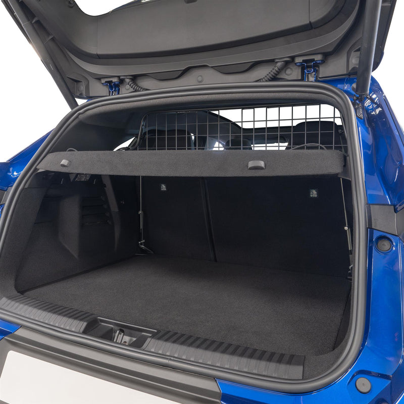 Renault Symbioz Dog Guard (2024-on)