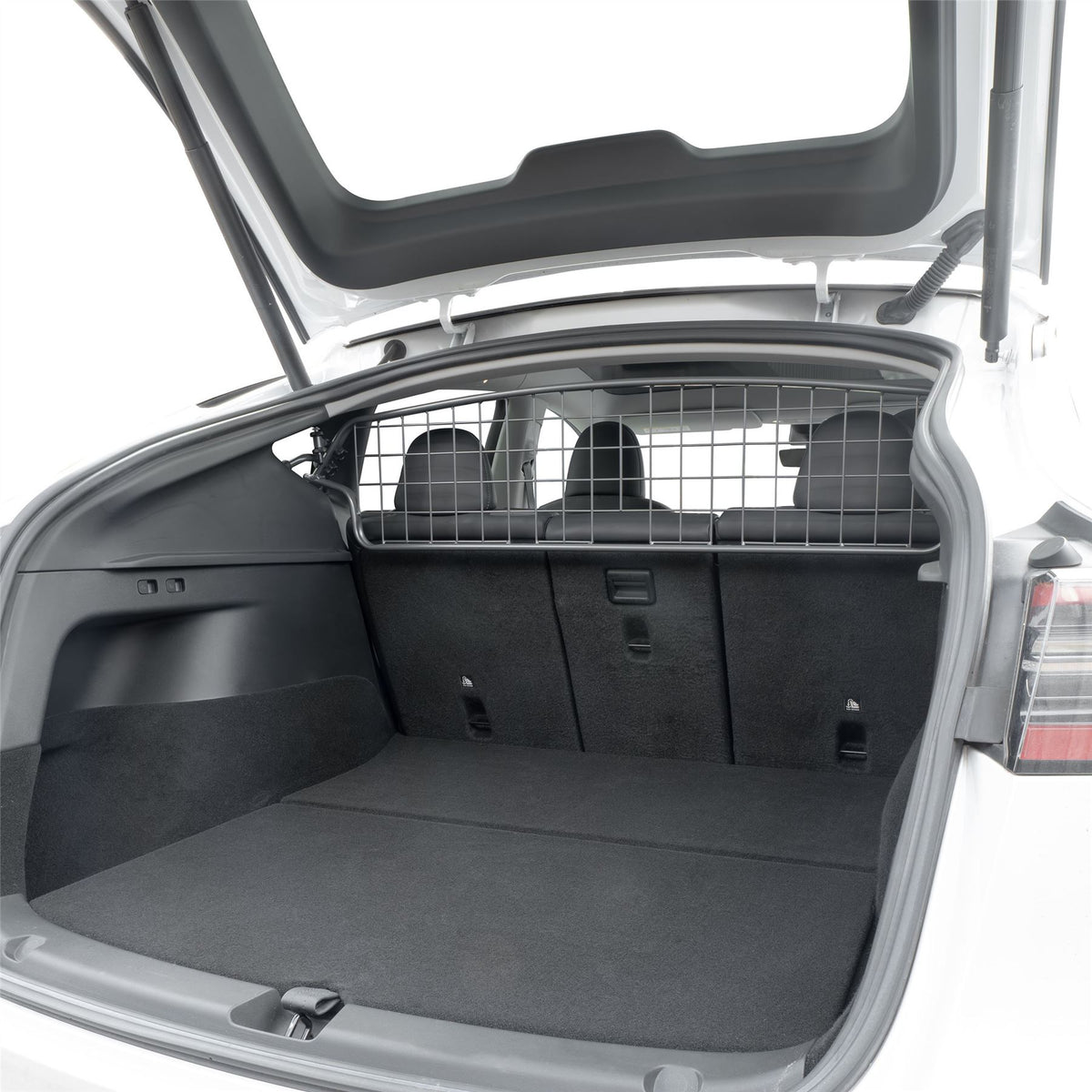 MODEL Y DOG GUARD visual data 6